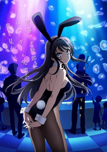 Seishun Buta Yarou wa Bunny Girl Senpai no Yume wo Minai (Rascal Does Not Dream of Bunny Girl Senpai)